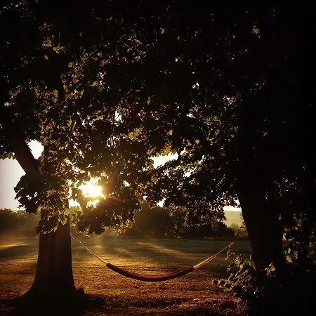 Domaine Au Perisson Le Brouilh