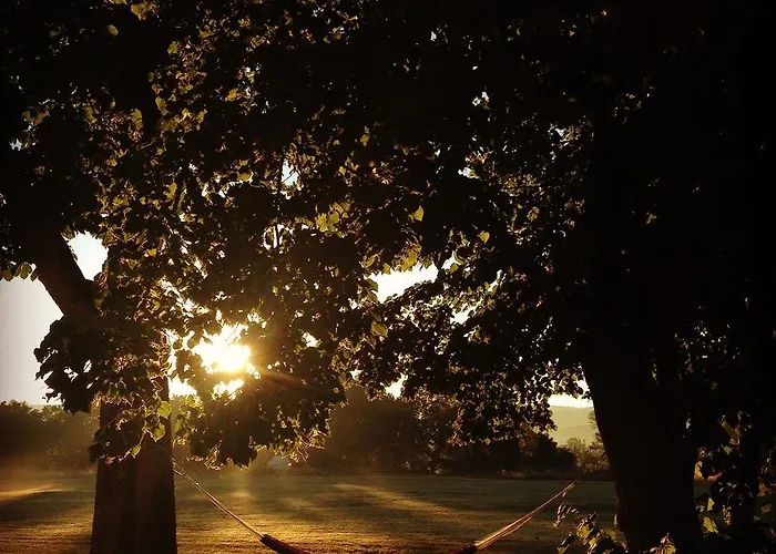 Domaine Au Perisson Le Brouilh